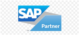 SAP Partner